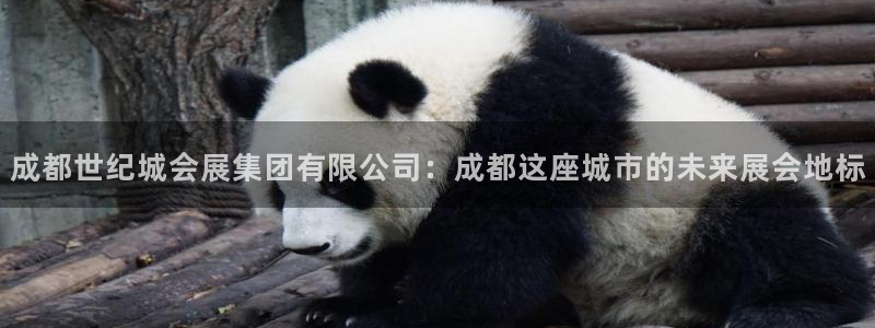 果博手机下载网址：成都世纪城会展集团有限公司：成都这座城市的未来展会地标