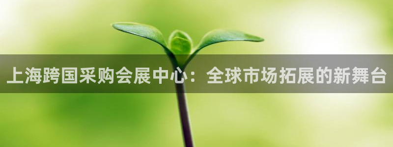 果博公司会员注册