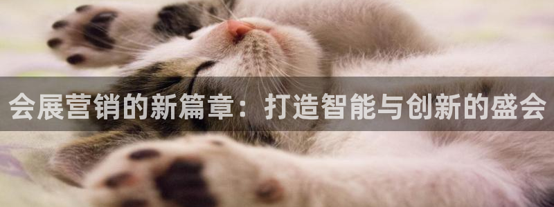 苹果手机能下载果博吗：会展营销的新篇章：