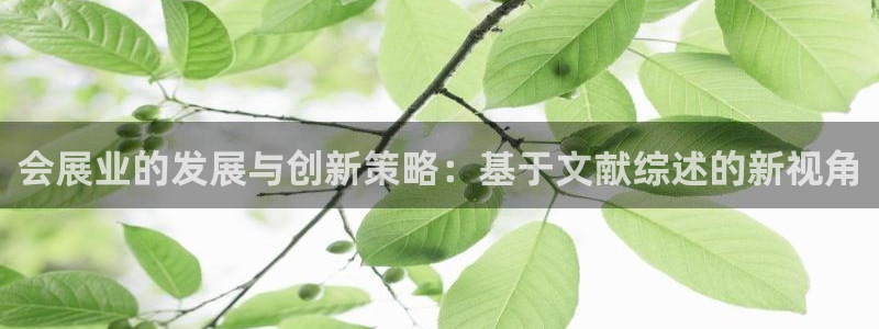 果博官网首页：会展业的发展与创新策略：基于文献综述的新视角