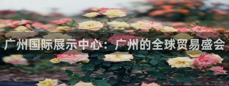 果博公司客服电话号码:广州国际展示中心: