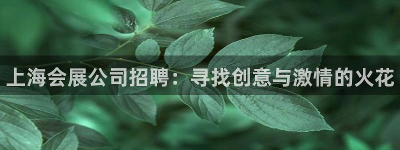 果博公司客服联系方式：上海会展公司招聘：寻找创意与激情的火花