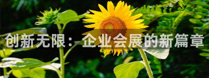 果博官方热线：创新无限：企业会展的新篇章