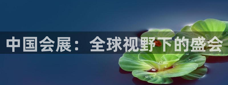 果博电话：中国会展：全球视野下的盛会