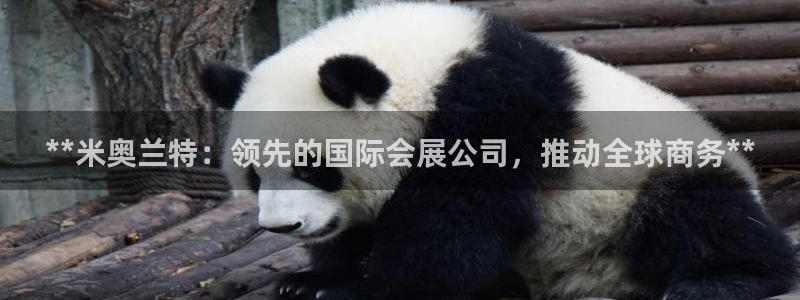 果博公司客服微信怎么加：**米奥兰特：领先的国际会展公司，推动全球商务**