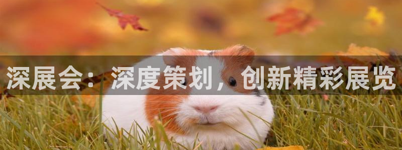 果博注册充值多少钱：深展会：深度策划，创