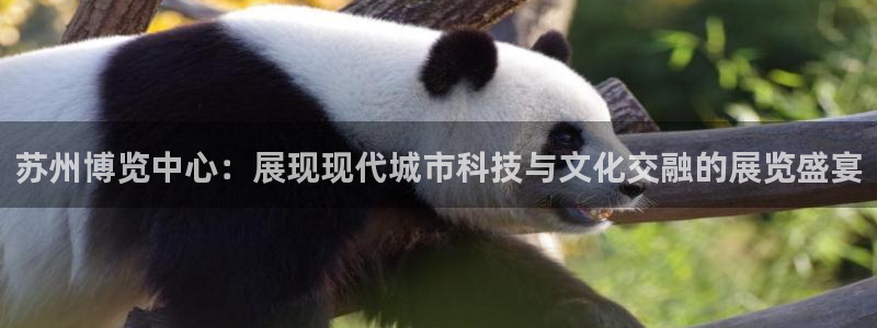 果博公司客服联系方式：苏州博览中心：展现