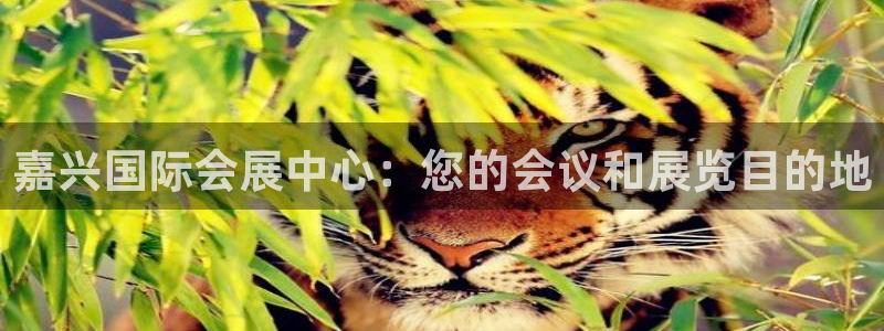 果博公司客服怎么样：嘉兴国际会展中心：您的会议和展览目的地