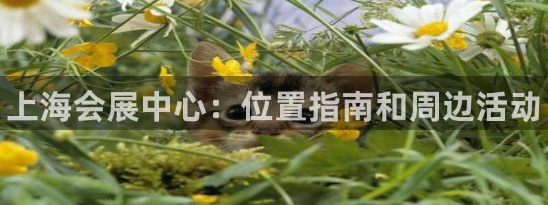 果博公司客服电话：上海会展中心：位置指南和周边活动