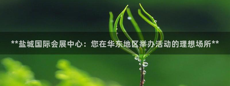 果博公司网站：**盐城国际会展中心：您在华东地区举办活动的理想场所**