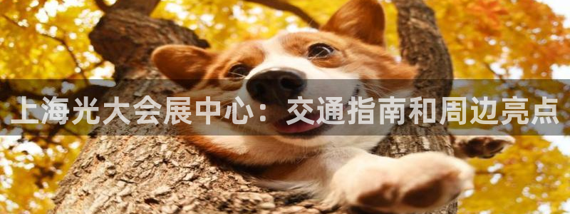 果博客服电话：上海光大会展中心：交通指南和周边亮点
