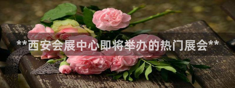 果博平台真实吗安全吗可靠吗：**西安会展中心即将举办的热门展会**