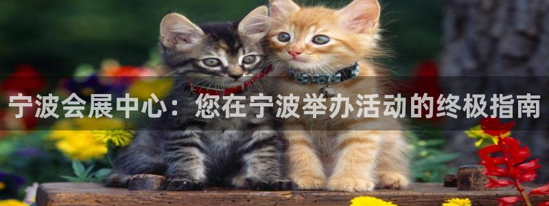 下载果博博东方：宁波会展中心：您在宁波举办活动的终极指南
