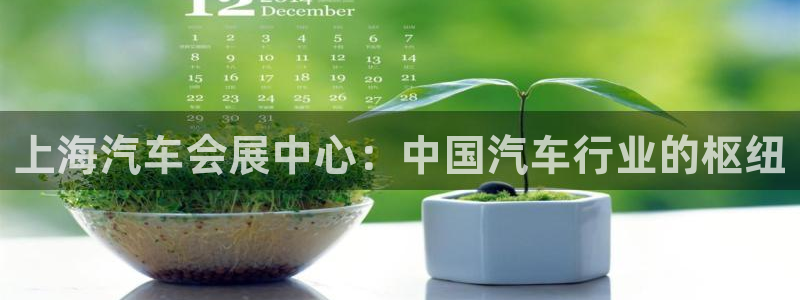 果博代理怎么注册：上海汽车会展中心：中国汽车行业的枢纽