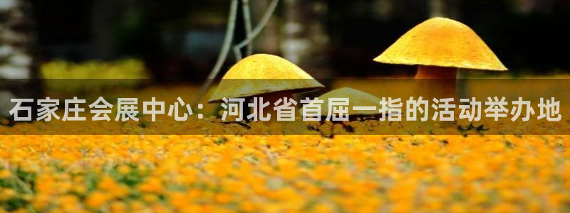 手机怎样下载果博：石家庄会展中心：河北省首屈一指的活动举办地