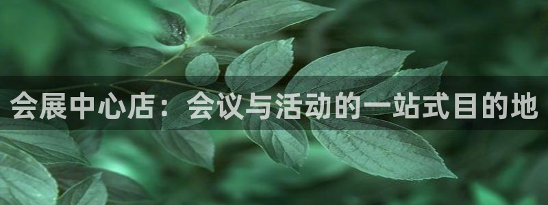 果博注册会员维wckk389：会展中心店：会议与活动的一站式目的地