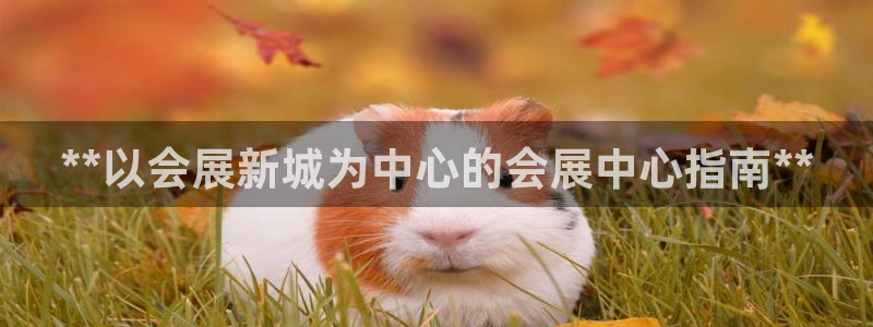 果博怎么注册账号和密码：**以会展新城为