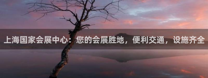 果博公司上分客服：上海国家会展中心：您的会展胜地，便利交通，设施齐全