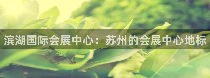 果博公司在线客服：滨湖国际会展中心：苏州