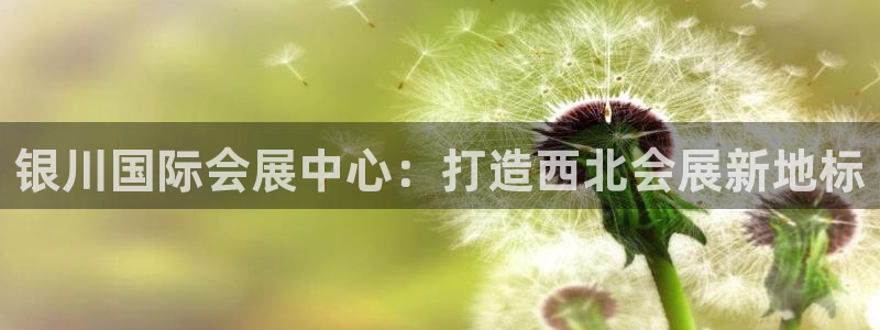 下载果博博东方下载：银川国际会展中心：打造西北会展新地标