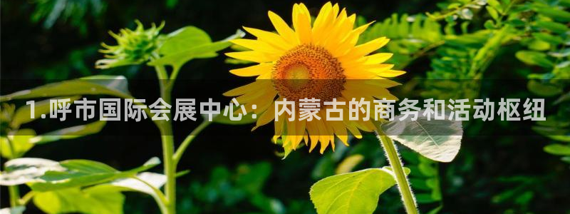果博代理电话多少号码：1.呼市国际会展中心：内蒙古的商务和活动枢纽