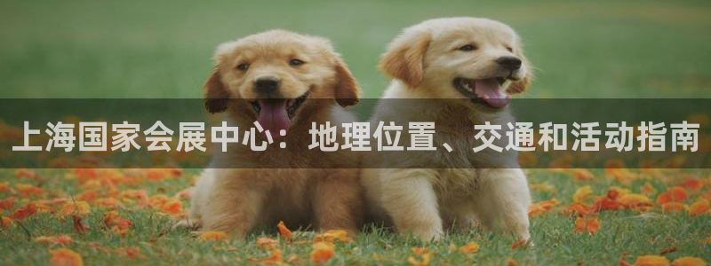 果博怎么注册账号和密码：上海国家会展中心：地理位置、交通和活动指南
