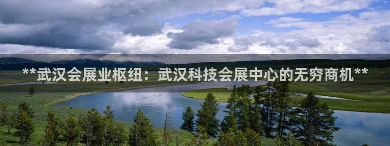 果博平台赖不赖：**武汉会展业枢纽：武汉科技会展中心的无穷商机**
