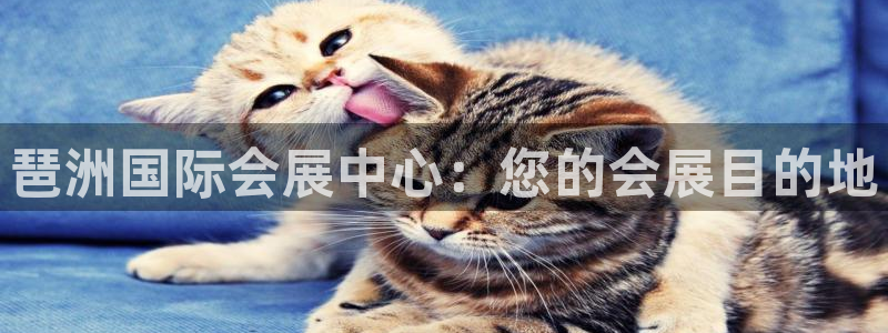果博平台真实吗安全吗可信吗是真的吗：琶洲国际会展中心：您的会展目的地