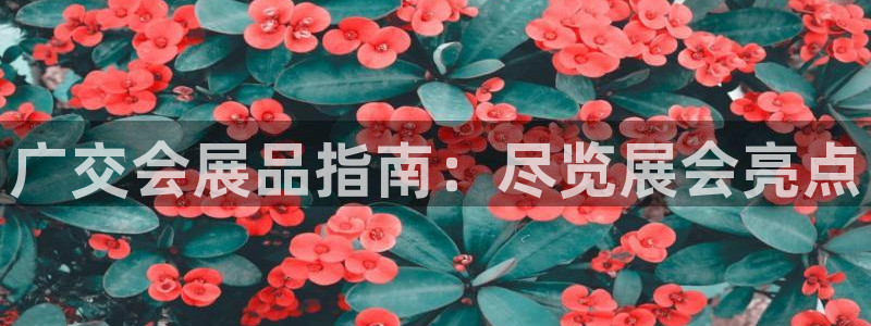 果博公司客服怎么样：广交会展品指南：尽览展会亮点