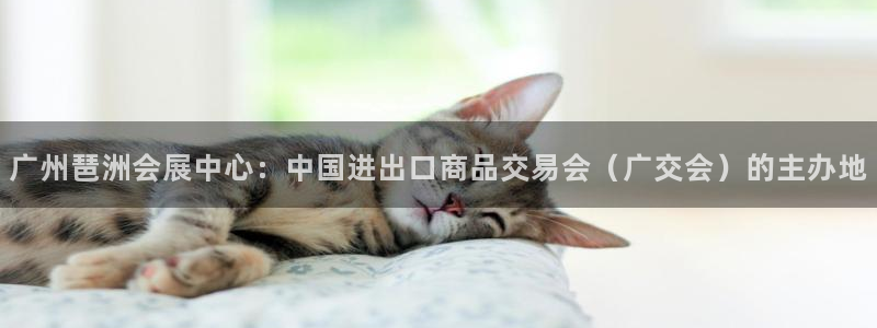 果博手机下载网址：广州琶洲会展中心：中国进出口商品交易会（广交会）的主办地