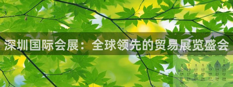 果博集团：深圳国际会展：全球领先的贸易展览盛会
