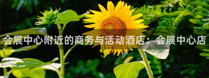 果博注册链接：会展中心附近的商务与活动酒店：会展中心店