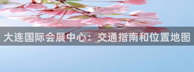 果博注册平台怎么注册的：大连国际会展中心：交通指南和位置地图