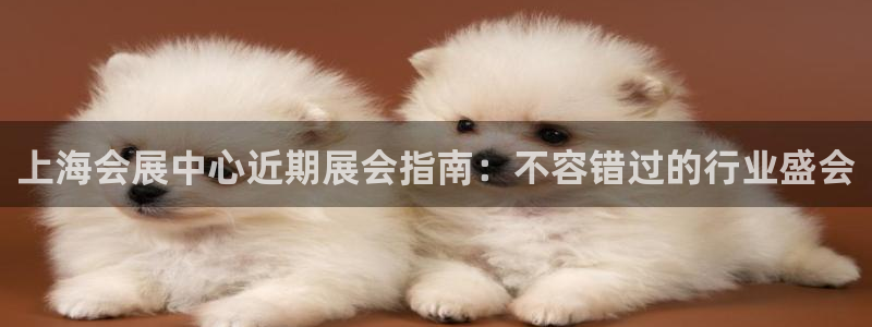 果博注册电话：上海会展中心近期展会指南：不容错过的行业盛会