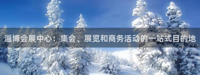 果博注册平台怎么注册：淄博会展中心：集会、展览和商务活动的一站式目的地