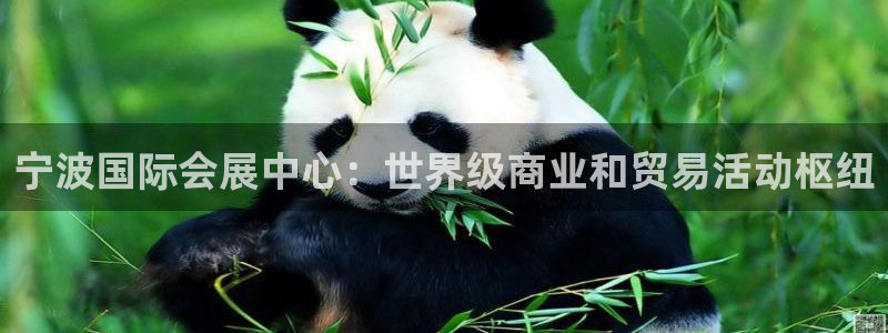 果博公司客服电话多少：宁波国际会展中心：世界级商业和贸易活动枢纽