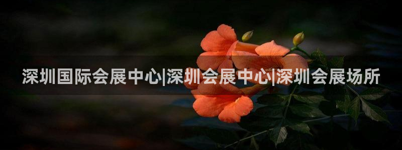 果博客服微信是多少