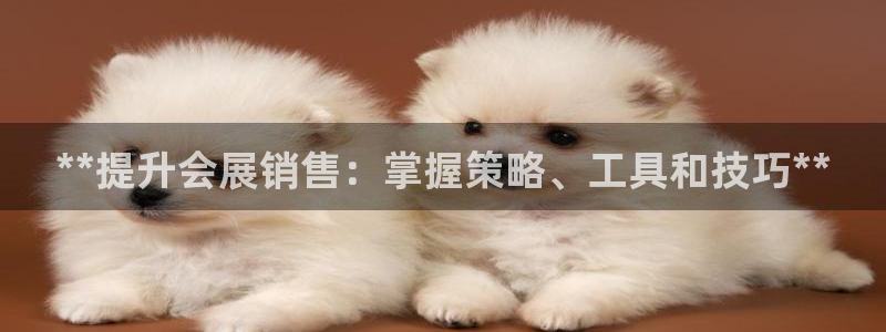 果博网站二维码