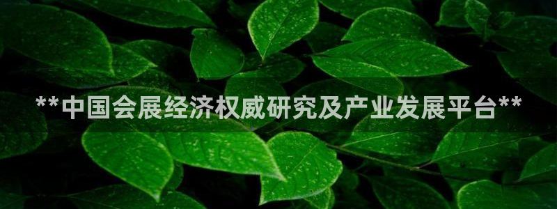 苹果手机能下载果博吗：**中国会展经济权威研究及产业发展平台**