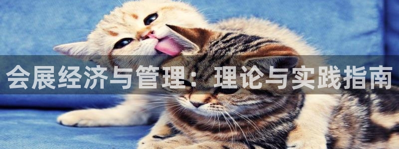 下载果博：会展经济与管理：理论与实践指南