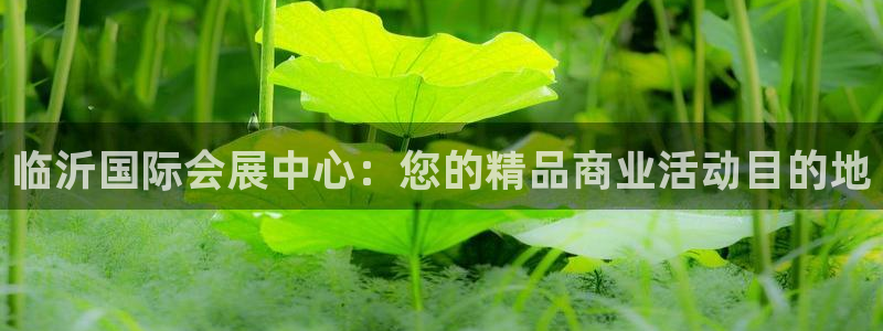 果博平台真实吗安全吗可信吗