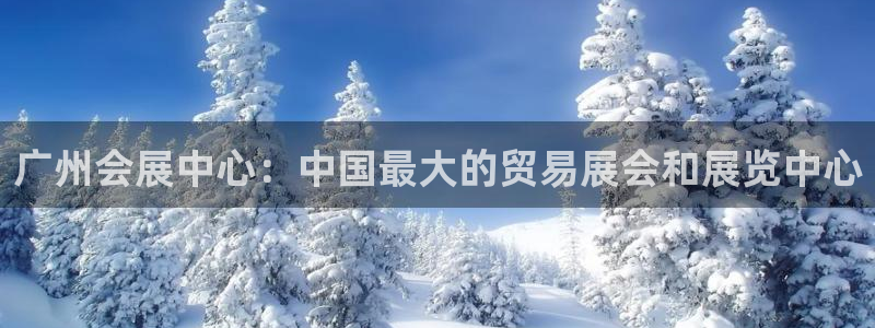 果博管理网