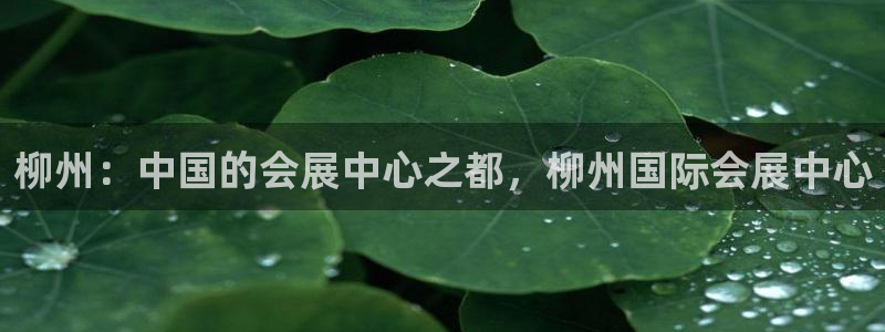 果博公司联系电话：柳州：中国的会展中心之都，柳州国际会展中心