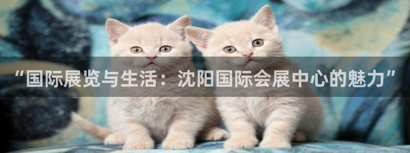 果博平台客服电话：“国际展览与生活：沈阳国际会展中心的魅力”
