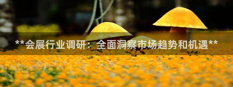 果博官网：**会展行业调研：全面洞察市场趋势和机遇**
