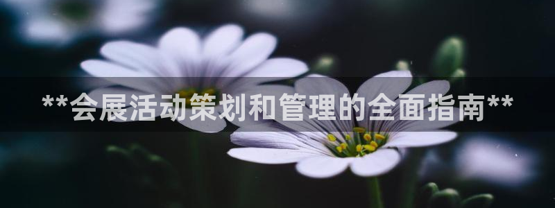 果博代理：**会展活动策划和管理的全面指南**