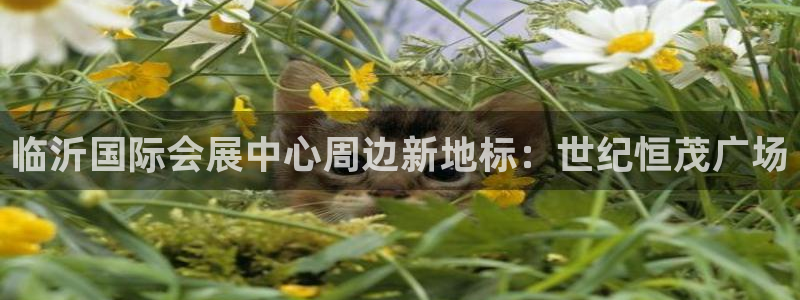 手机怎样下载果博：临沂国际会展中心周边新地标：世纪恒茂广场