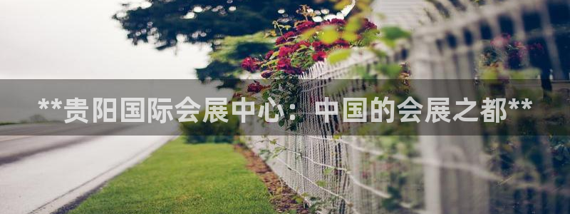 果博代理电话多少：**贵阳国际会展中心：中国的会展之都**