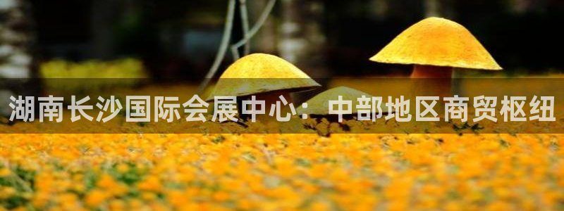 果博官方