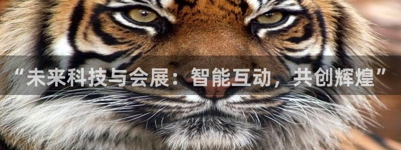 果博集团：“未来科技与会展：智能互动，共创辉煌”